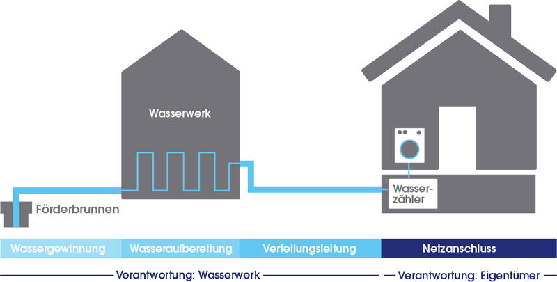 Infografik, die die Wasserversorgung vom Wasserwerk bis zum Hausanschluss darstellt
